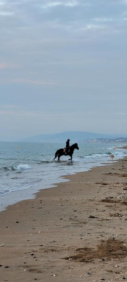 Villers Plage 1 فيلي سور مير المظهر الخارجي الصورة